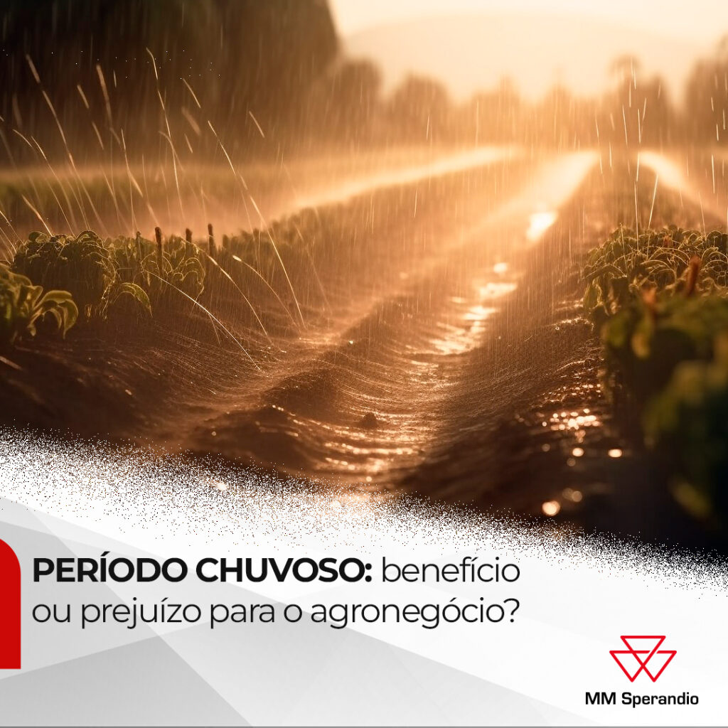 PERÍODO CHUVOSO: benefício ou prejuízo para o agronegócio?