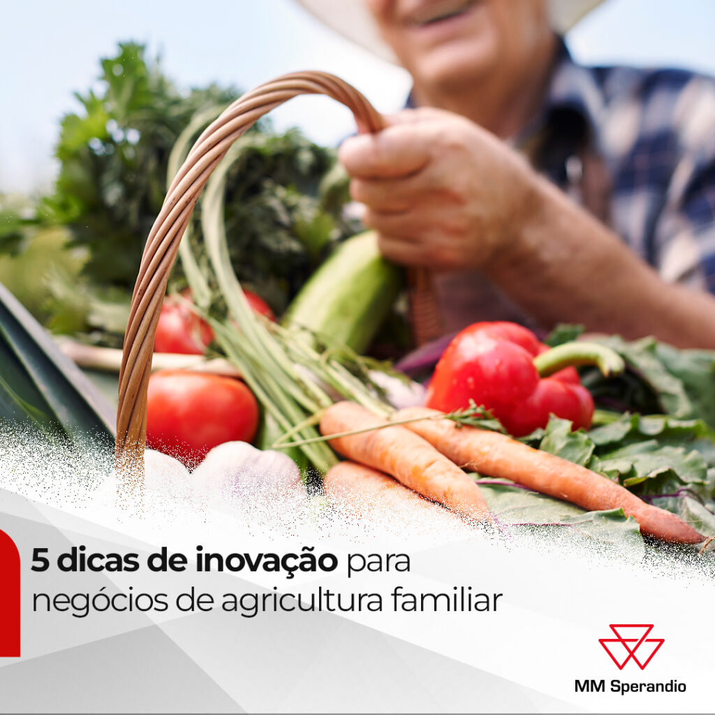 5 dicas de inovação para negócios de agricultura familiar